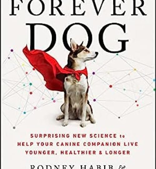 forever-dog.jpg