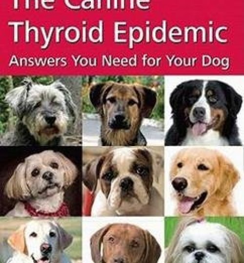 thyroid.jpg