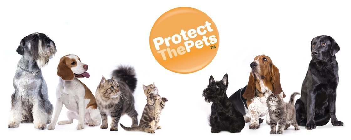 protect.jpg