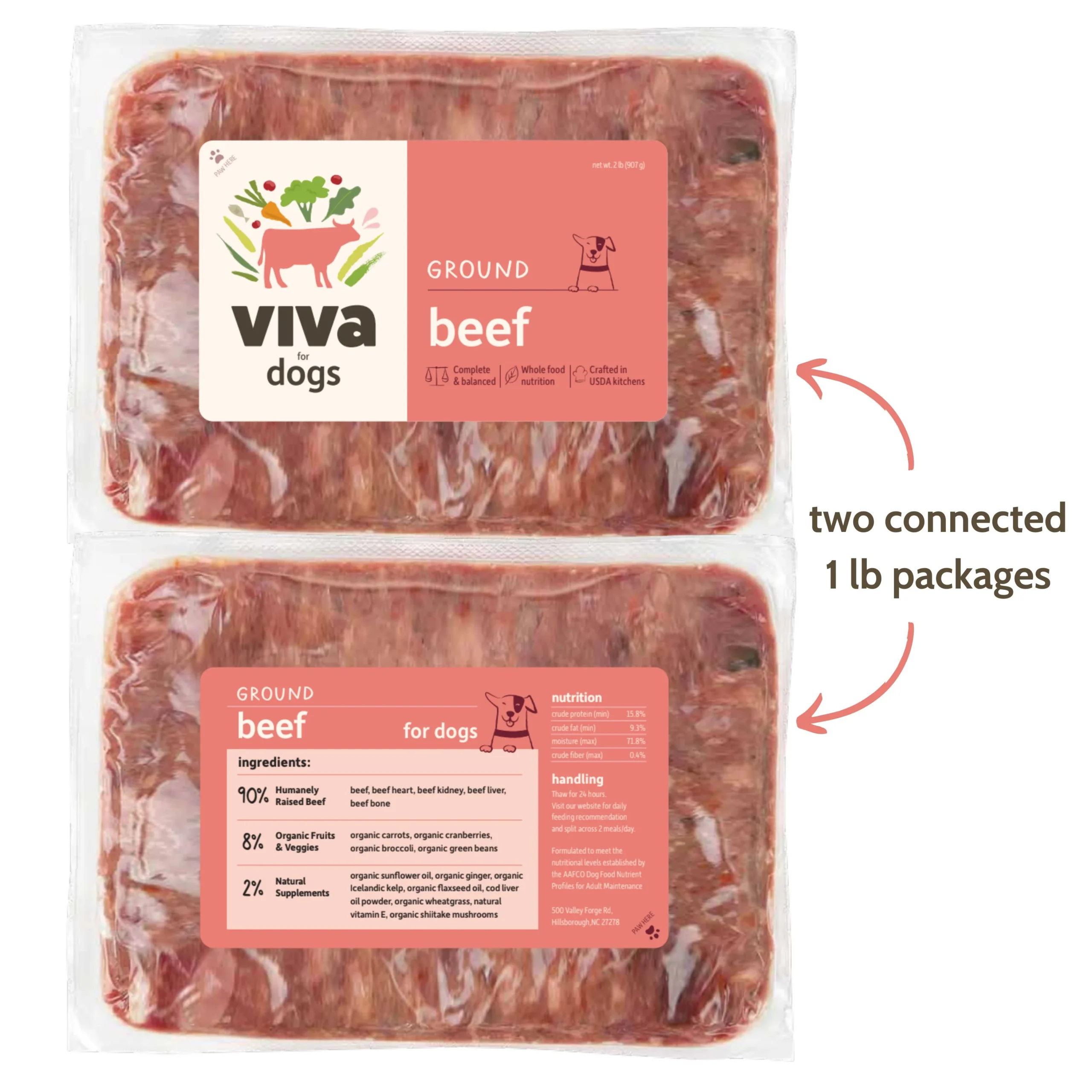 viva-scaled.webp